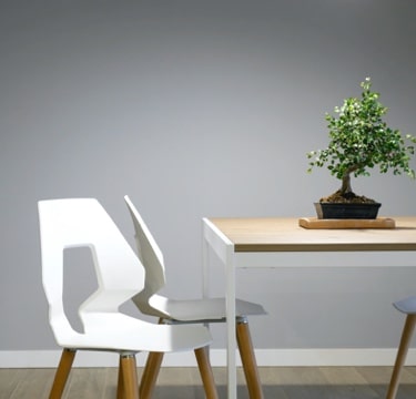 Table with a plant on it and chairs aside